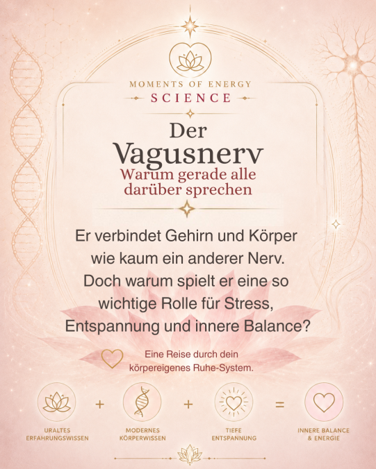 Der Vagusnerv – warum dein Ruhe-Nerv so wichtig für Körper und Gehirn ist
