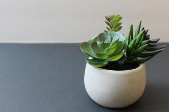 Marketing, Konzeption, Presseverteiler