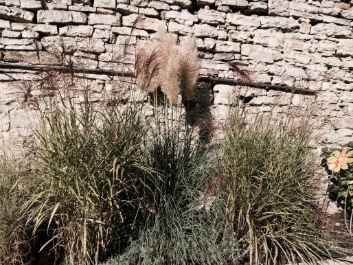 Herbstzeit ist Erntezeit