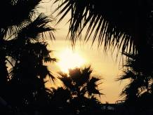 Goldener Oktober - warum ich dich so liebe ...